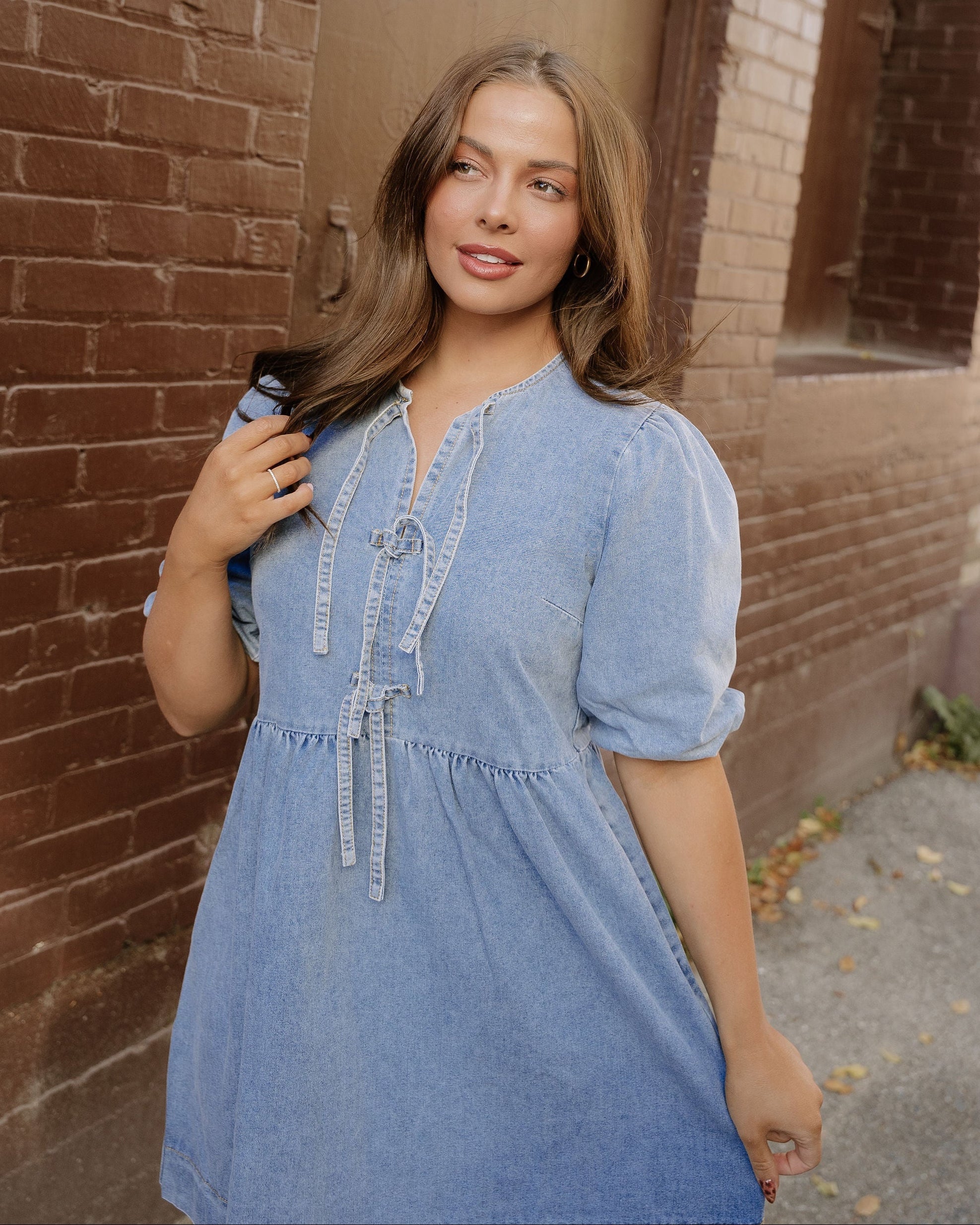 Fallon Denim Dress