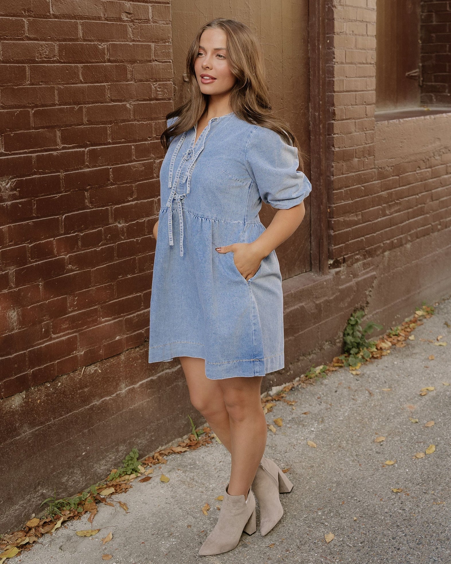 Fallon Denim Dress