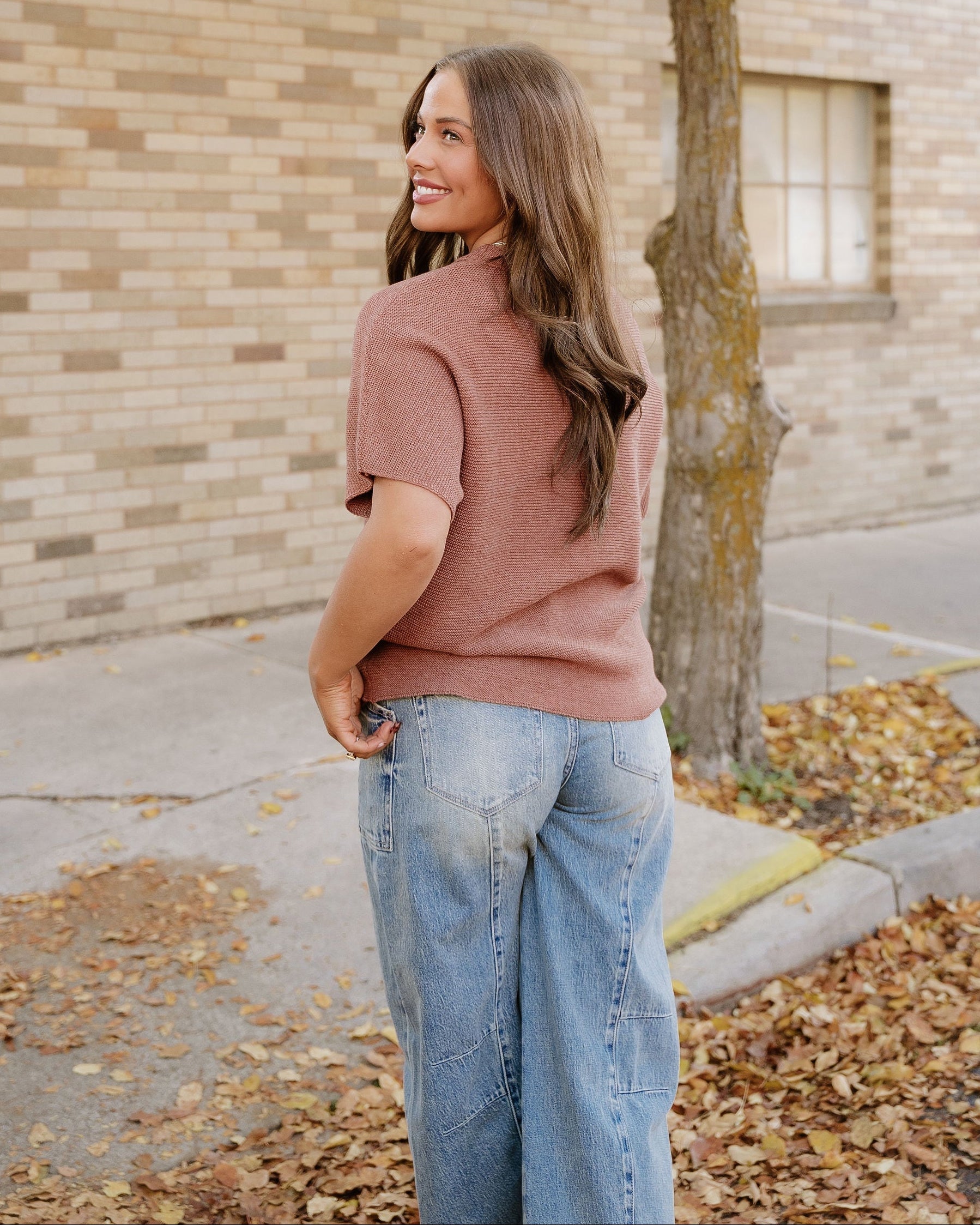 Maya Mock Neck Short Sleeve Sweater - Brown