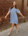 Fallon Denim Dress
