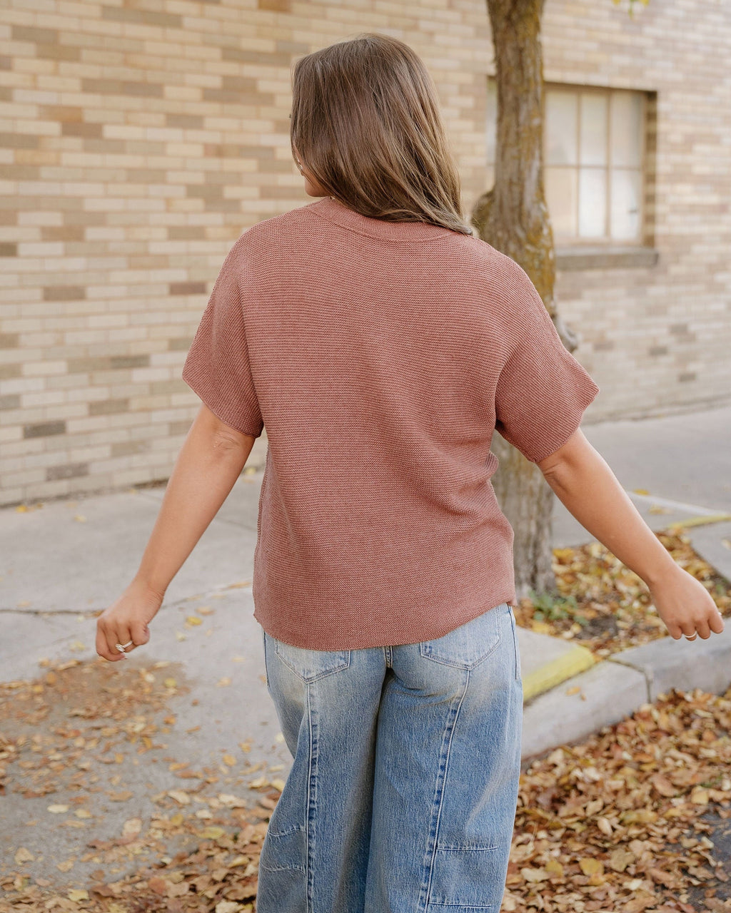 Maya Mock Neck Short Sleeve Sweater - Brown