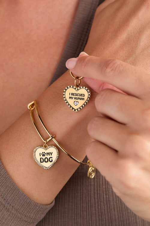 'I Love My Dog' Bangle & Pet Collar Charm Set of 2