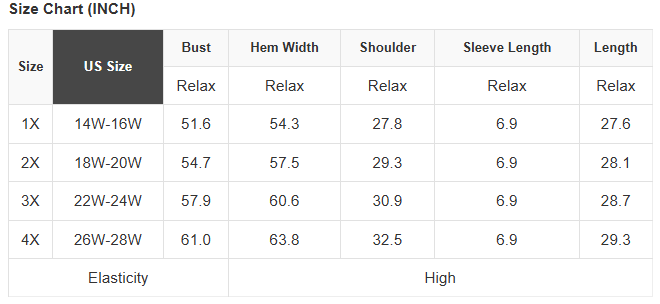 Plus Size USA Varsity Stripe Trim Short Sleeve Tee